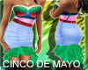 CINCO DE MAYO DRESS-NEW