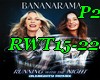 *X  RWT15-22-P2/ REMIX