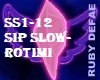 SS1-12 SIP SLOW
