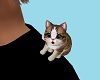 Shoulder Kitten 1