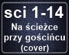 Na sciezce przy goscincu