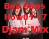 .D.Bee Gees Mix How