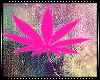 ~CC~Pink Wall Pot leaf