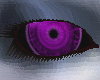 Purple vortex eyes.