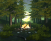 Forest Camping