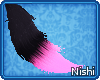 [Nish] Noc Tail