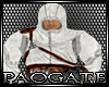 Altair Creed -outfit- PG