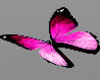 Amore Pink Butterflies