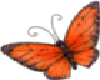 animated red butterfly