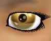 24k Golden Eyes