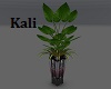 Sensual Plant 3