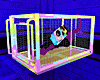 Pastel Rainbow Cage - M