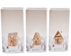 Ginger house