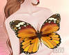 Iv"Butterfly top2