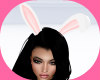 Easter Bunny Ears ANIM