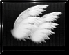 Angel Small Wings
