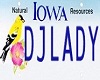 (V) DJ Lady  Licence