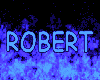 ROBERT FLAME STICKER