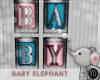 BABY TWINS ELEPHANT