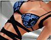 SR-Blu 2