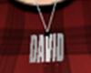 [GD] David necklace