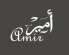 My love Amir