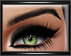 ♐ Eyebrows |Black