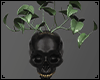 ☺S☺ Skull Planter