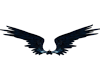 ! MALEFICENT WINGS