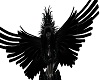 A Raven's Wings