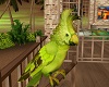 Dancing Parrot
