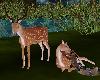 BT Animated Deer / Poses