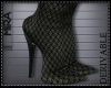 DS2 BOOT
