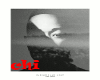 JOHN LEGEND - SUREFIRE