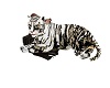White Tiger
