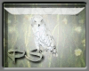 [PS] Owls enhancers