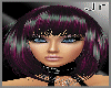 Jr Purple/black Niazy