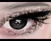 DW. Leopard Eyeshadow