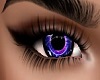 purple eyes 'lou'