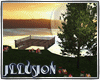 [ILU]sunset forrest camp