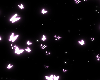 Aesthetic BG 102