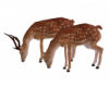 Gig-Twin Animated Deer
