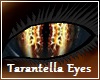 Tarantella Eyes