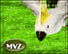 [MVZ] Flying Garden Bird
