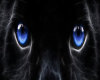 Black Panther Eyes