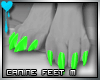 D~Canine Feet:Green M