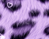 stars + hearts BG 101