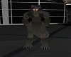 Wolf Claws Dark Gray F