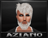 AZ_Silver White Hair
