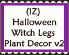 Witch Legs Plant Decor